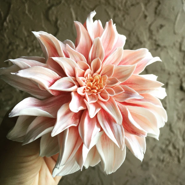 Artist Julia Dogan creates realistic flowers and flower arrangements with Hearty Clay ultra lightweight air dry clay.  These air dry clay flowers look so realistic!